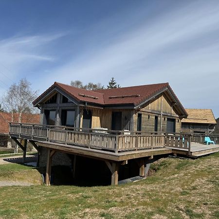 L'Adret Du Temps Chalet 10 Personnes 170M2 Gérardmer Εξωτερικό φωτογραφία