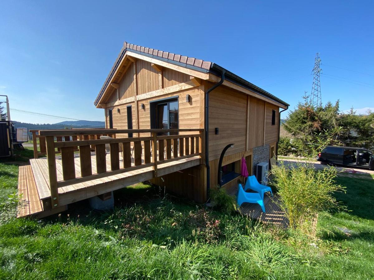 L'Adret Du Temps Chalet 10 Personnes 170M2 Gérardmer Εξωτερικό φωτογραφία