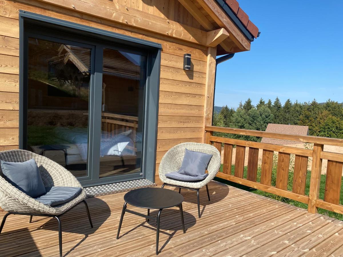 L'Adret Du Temps Chalet 10 Personnes 170M2 Gérardmer Εξωτερικό φωτογραφία